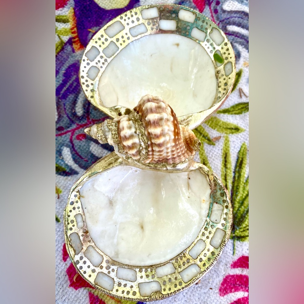 Gold and Cream Venus Clam Seashell Trinket/Snack Dish with Gold Trim - Picture 4 of 7